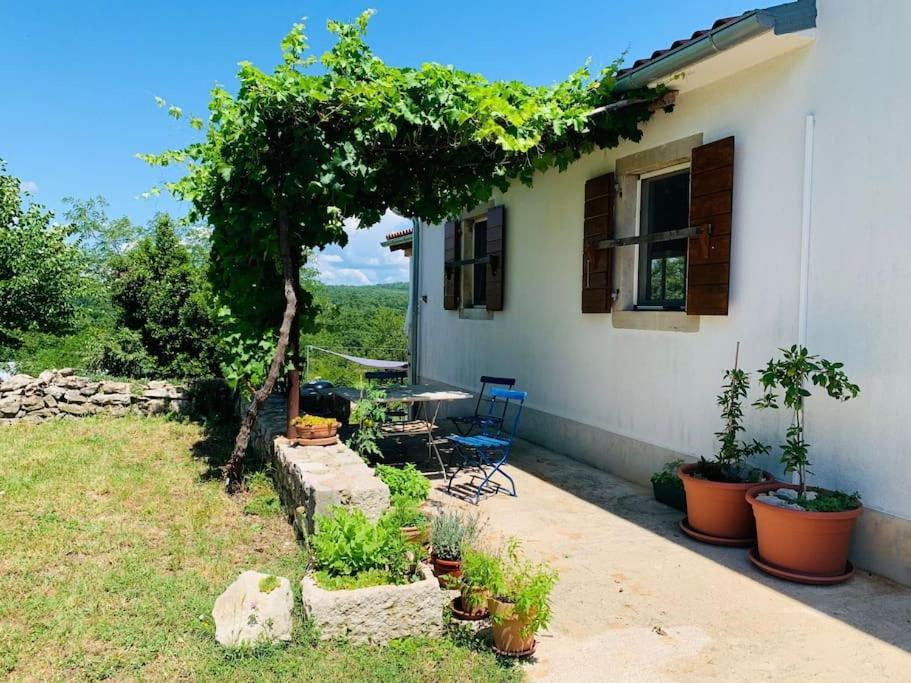 Villa Grant'S Labin  Exterior foto